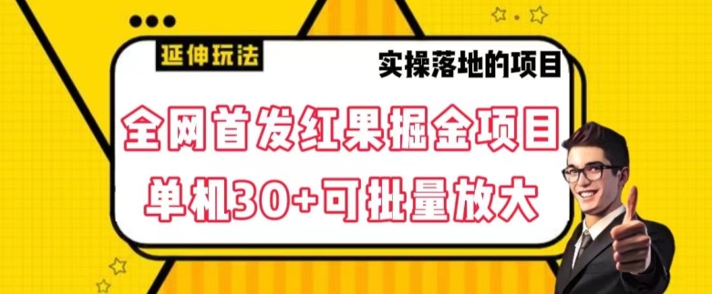 全网首发红果免费短剧掘金项目，单机30+可批量放大【揭秘】-51资源库