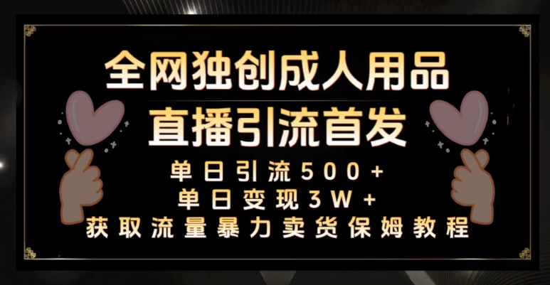 全网独创真人主播+无人直播单日引流500+，橙人用品暴力卖货单日变现3W+保姆似教学2.0【揭秘】-51资源库