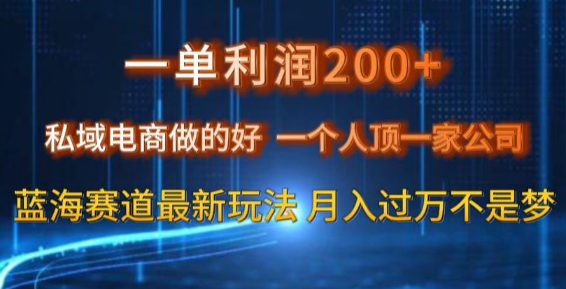 一单利润200私域电商做的好，一个人顶一家公司蓝海赛道最新玩法【揭秘】-51资源库