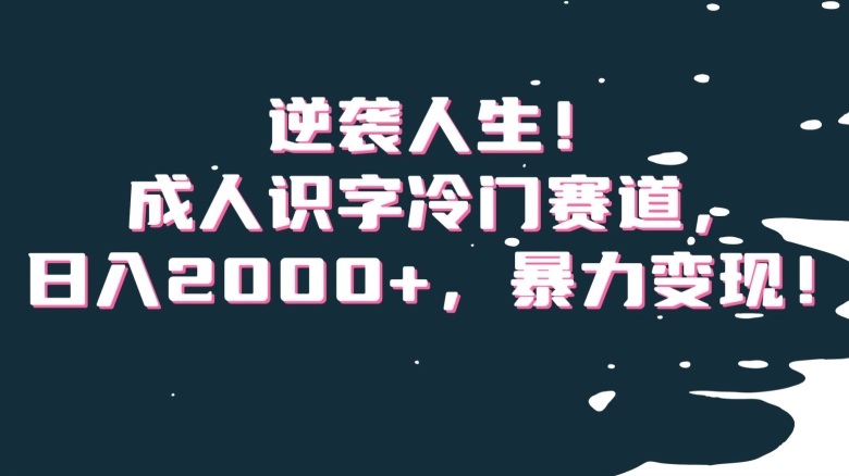 逆袭人生！成人识字冷门赛道，日入2000+，暴力变现！【揭秘】-51资源库
