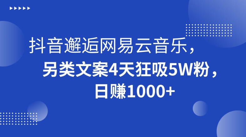 抖音邂逅网易云音乐，另类文案4天狂吸5W粉，日赚1000+【揭秘】-51资源库