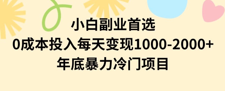 小白副业首选，0成本投入，每天变现1000-2000年底暴力冷门项目【揭秘】-51资源库