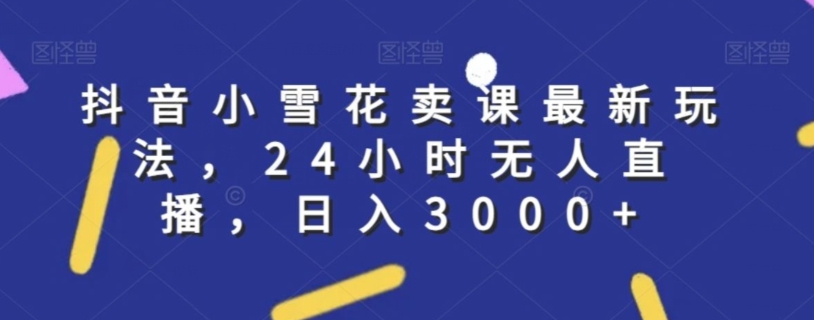 抖音小雪花卖课最新玩法，24小时无人直播，日入3000+【揭秘】-51资源库