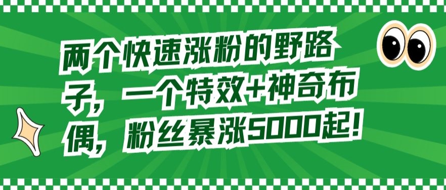 两个快速涨粉的野路子，一个特效+神奇布偶，粉丝暴涨5000起【揭秘】-51资源库