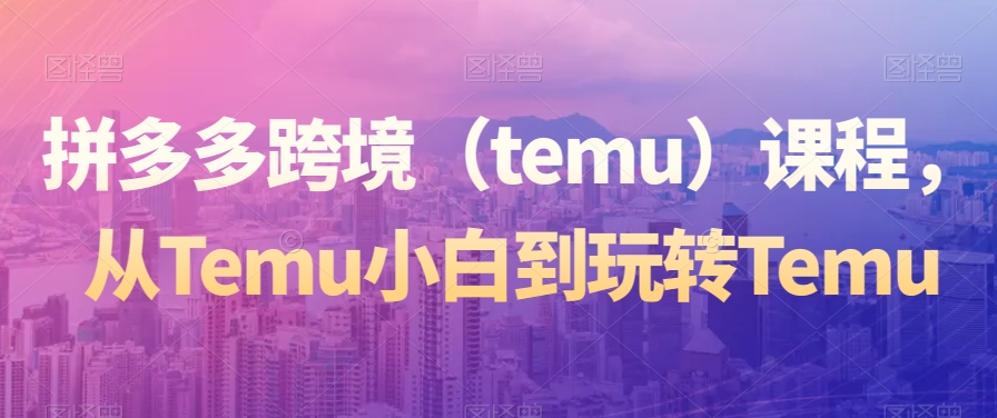 拼多多跨境（temu）课程，从Temu小白到玩转Temu-51资源库