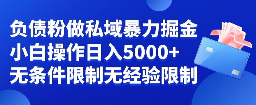 负债粉私域暴力掘金，小白操作入5000，无经验限制，无条件限制【揭秘】-51资源库