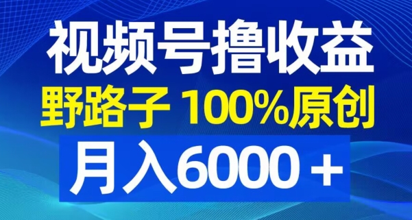 视频号野路子撸收益，100%原创，条条爆款，月入6000＋【揭秘】-51资源库