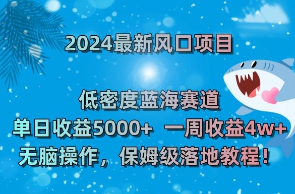 2024最新风口项目，低密度蓝海赛道，单日收益5000+，一周收益4w+！【揭秘】-51资源库