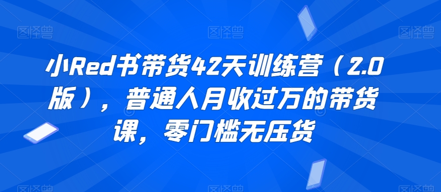 小Red书带货42天训练营（2.0版），普通人月收过万的带货课，零门槛无压货-51资源库