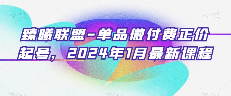 臻曦联盟-单品微付费正价起号，2024年1月最新课程-51资源库