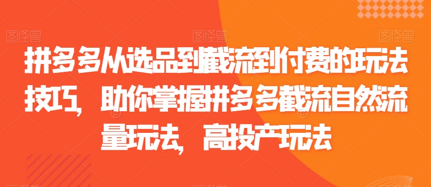 拼多多从选品到截流到付费的玩法技巧，助你掌握拼多多截流自然流量玩法，高投产玩法-51资源库