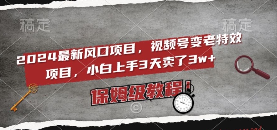 2024最新风口项目，视频号变老特效项目，电脑小白上手3天卖了3w+，保姆级教程【揭秘】-51资源库