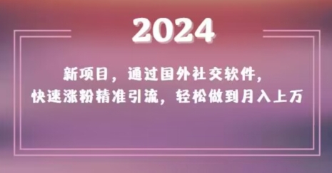 2024新项目，通过国外社交软件，快速涨粉精准引流，轻松做到月入上万【揭秘】-51资源库