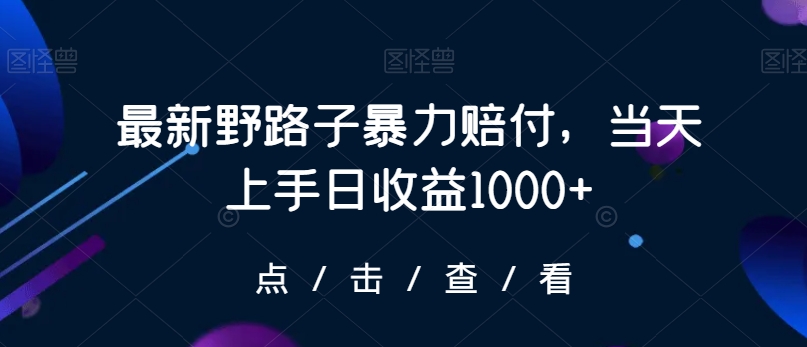 最新野路子暴力赔付，当天上手日收益1000+【仅揭秘】-51资源库