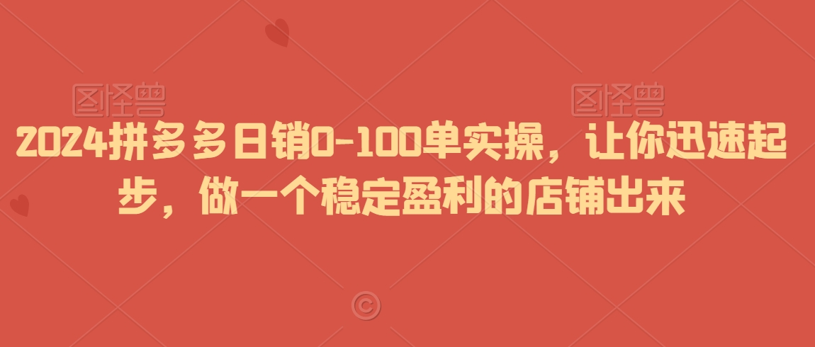 2024拼多多日销0-100单实操，让你迅速起步，做一个稳定盈利的店铺出来-51资源库