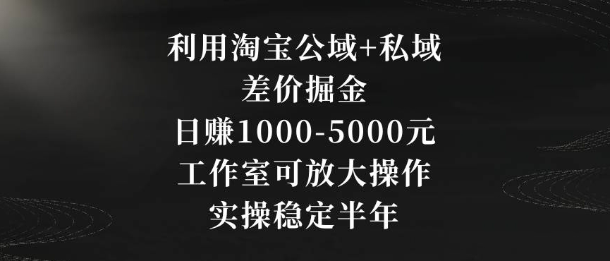 利用淘宝公域+私域差价掘金，日赚1000-5000元，工作室可放大操作，实操稳定半年【揭秘】-51资源库