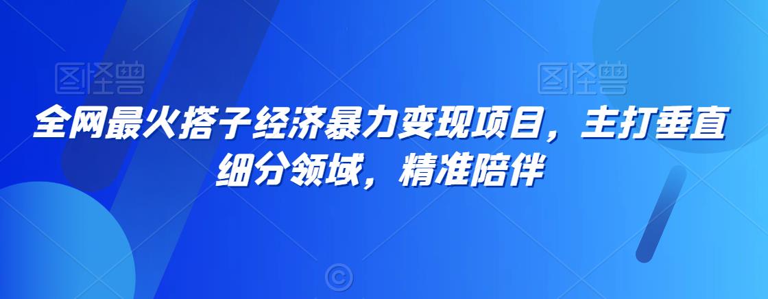 全网最火搭子经济暴力变现项目，主打垂直细分领域，精准陪伴【揭秘】-51资源库