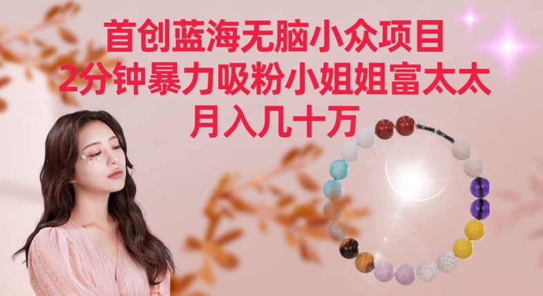 首创蓝海无脑小众项目，2分钟暴力吸粉小姐姐富太太，月入几十万【揭秘】-51资源库