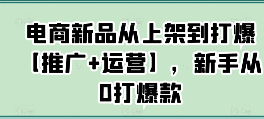 电商新品从上架到打爆【推广+运营】，新手从0打爆款-51资源库