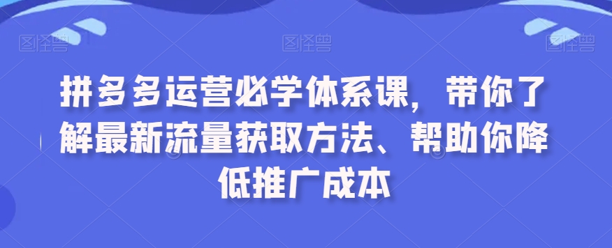 拼多多运营必学体系课，带你了解最新流量获取方法、帮助你降低推广成本-51资源库