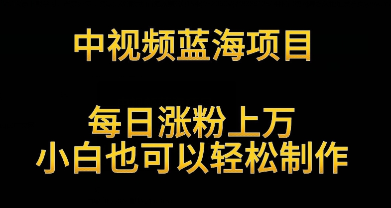 中视频蓝海项目，解读英雄人物生平，每日涨粉上万，小白也可以轻松制作，月入过万不是梦【揭秘】-51资源库