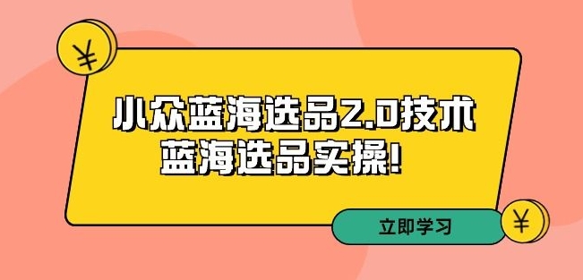 拼多多培训第33期：小众蓝海选品2.0技术-蓝海选品实操！-51资源库