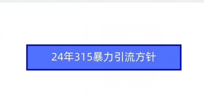 24年315暴力引流方针-51资源库