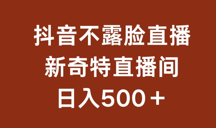 不露脸挂机直播，新奇特直播间，日入500+【揭秘】-51资源库