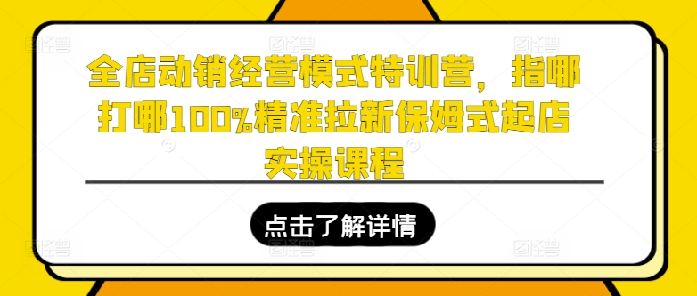 全店动销经营模式特训营，指哪打哪100%精准拉新保姆式起店实操课程-51资源库