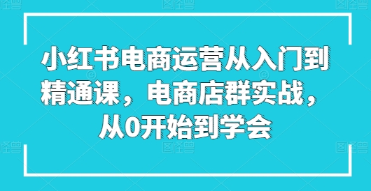 小红书电商运营从入门到精通课，电商店群实战，从0开始到学会-51资源库