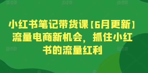 小红书笔记带货课【6月更新】流量电商新机会，抓住小红书的流量红利-51资源库