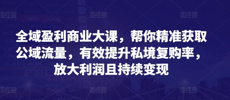 全域盈利商业大课，帮你精准获取公域流量，有效提升私境复购率，放大利润且持续变现-51资源库