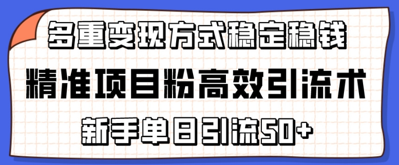 精准项目粉高效引流术，新手单日引流50+，多重变现方式稳定赚钱【揭秘】-51资源库