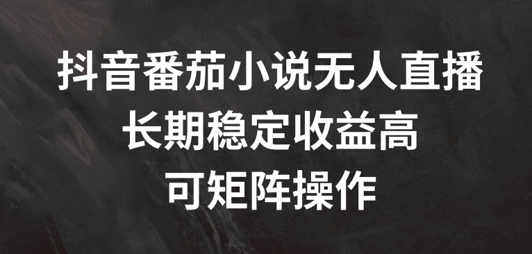 抖音番茄小说无人直播，长期稳定收益高，可矩阵操作【揭秘】-51资源库