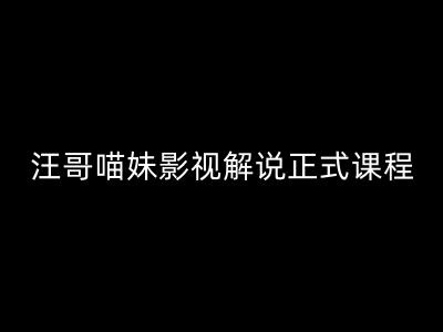 汪哥影视解说正式课程：剪映/PR教学/视解说剪辑5大黄金法则/全流程剪辑7把利器等等-51资源库