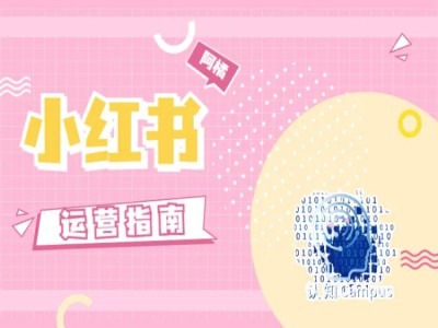 小红书运营指南，没有套路，全是经验-51资源库