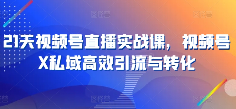 21天视频号直播实战课，视频号X私域高效引流与转化-51资源库