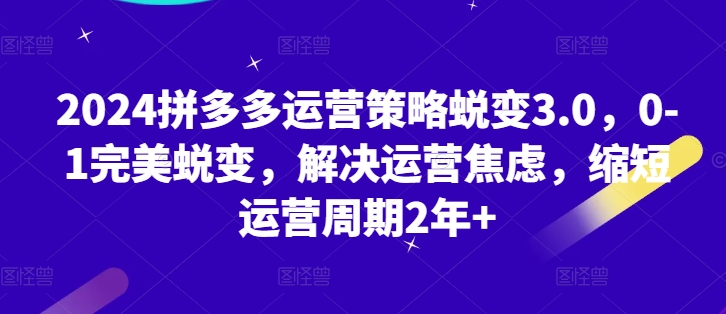 2024拼多多运营策略蜕变3.0，0-1完美蜕变，解决运营焦虑，缩短运营周期2年+-51资源库