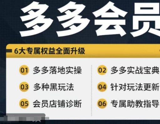 拼多多会员，拼多多实战宝典+实战落地实操，从新手到高阶内容全面覆盖-51资源库
