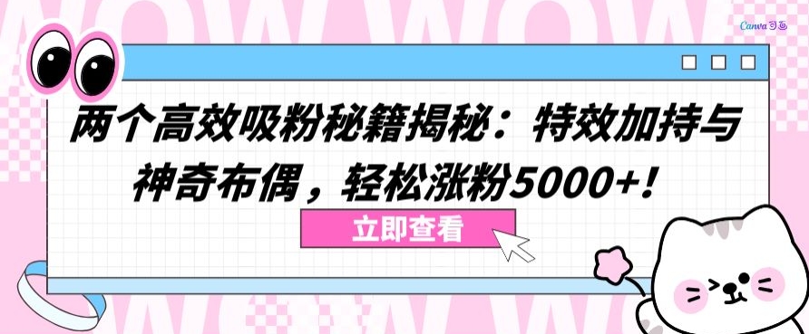 两个高效吸粉秘籍揭秘：特效加持与神奇布偶，轻松涨粉5000+【揭秘】-51资源库