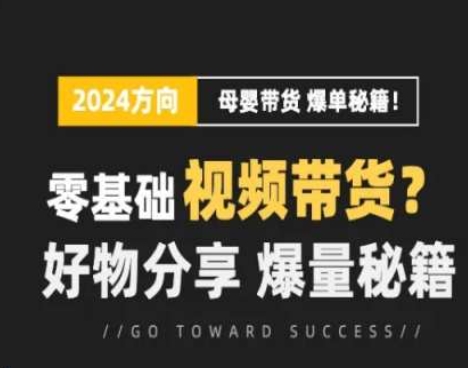 短视频母婴赛道实操流量训练营，零基础视频带货，好物分享，爆量秘籍-51资源库