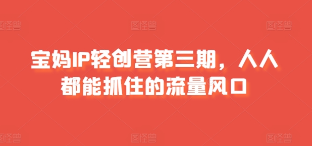 宝妈IP轻创营第三期，人人都能抓住的流量风口-51资源库