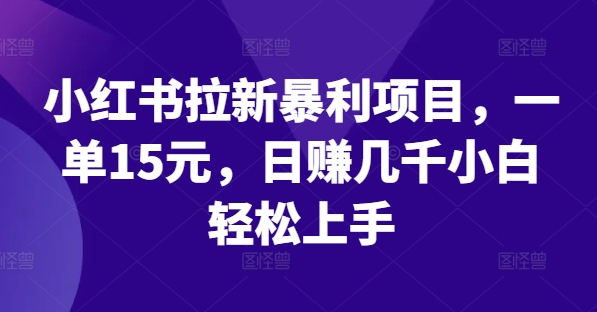 小红书拉新暴利项目，一单15元，日赚几千小白轻松上手【揭秘】-51资源库