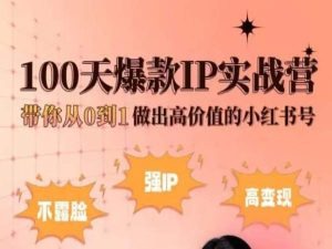 小红书100天爆款IP实战营，带你从0到1做出高价值的小红书号-51资源库