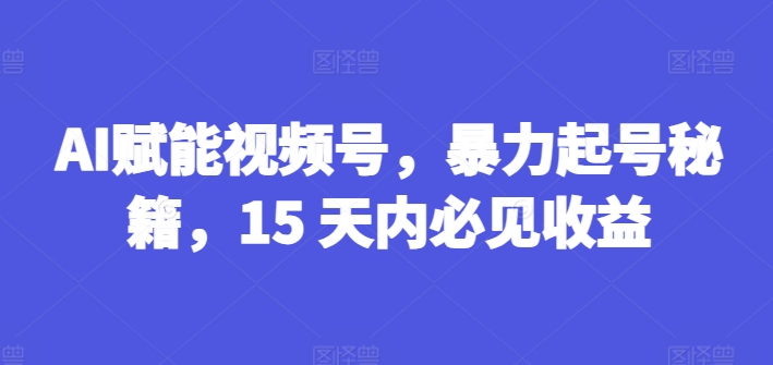 AI赋能视频号，暴力起号秘籍，15 天内必见收益【揭秘】-51资源库