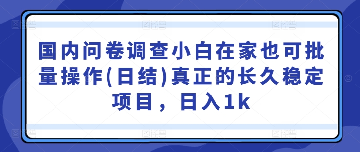 国内问卷调查小白在家也可批量操作(日结)真正的长久稳定项目，日入1k【揭秘】-51资源库