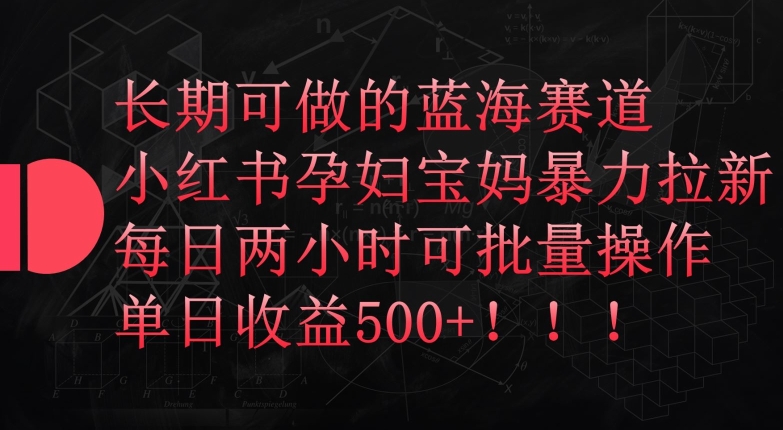 长期可做的蓝海赛道，小红书孕妇宝妈暴力拉新玩法，每日两小时可批量操作，单日收益500+【揭秘】-51资源库