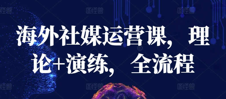 海外社媒运营课，理论+演练，全流程-51资源库