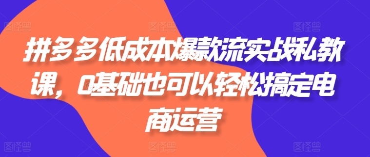 拼多多低成本爆款流实战私教课，0基础也可以轻松搞定电商运营-51资源库