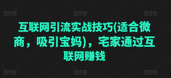 互联网引流实战技巧(适合微商，吸引宝妈)，宅家通过互联网赚钱-51资源库